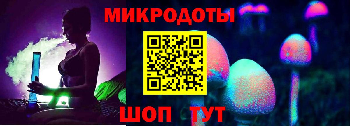 Псилоцибиновые грибы Cubensis Нурлат